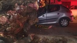 İzmir’de 3 otomobilin üzerine ağaç devrildi