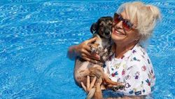 Bodrum'da 85 köpek için villa aldı