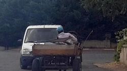 Söktüğü trafik levhalarını at arabasına yükledi