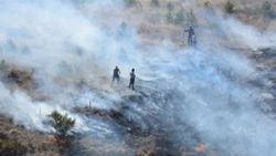 Tokat'taki yangında 7 dekar fidanlık zarar gördü