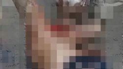 meksika da tecavuzcu adama pitbullu infaz