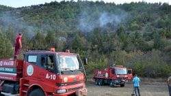 Çorum'da sigara izmariti 5 dönümlük orman alanını kül etti
