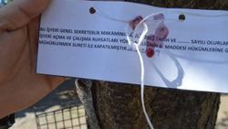 Bartın'da bina bulunmayınca ağaç mühürlendi