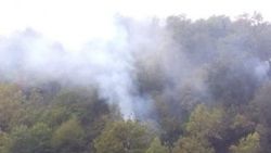 Sinop’taki orman yangını kontrol altına alındı