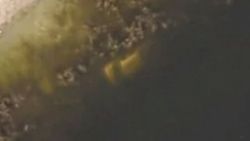 Cesedini 22 yıl sonra Google Earth ile buldular