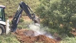 İznik'te toprağa gömülü 6 bin ölü tavuk bulundu