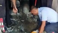 İtfaiyenin yavru kedi için 2 saat süren kurtarma operasyonu