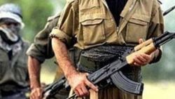 Teslim olan PKK'lı: Devletim bana sahip çıktı