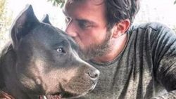 Kıvanç Tatlıtuğ köpeği Mars'ı Amerika'ya götürecek
