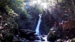 Düzce şelaleriyle sonbaharda da turistleri ağırlıyor