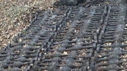 Hollanda'da 2. Dünya Savaşı'ndan kalma bomba bulundu