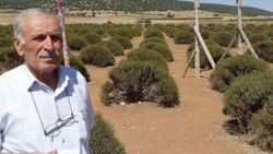 Lavanta bahçesindeki altın dolu kutunun sahibi çıkmadı