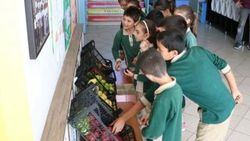 Öğrenciler, 'kasiyersiz manavda' dürüstlüğü öğreniyorlar
