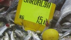 Sardalyanın kilosu 15 liraya düştü
