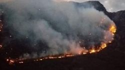Kahramanmaraş'ta 10 hektar alan kül oldu