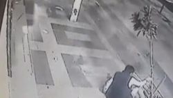Alkollü şahıs ağacı kırmaya çalıştı