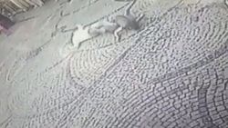 İstanbul'da intihar eden kadını tutmaya çalıştı