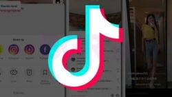 TikTok bağımlısı genç, video çekerken çatıdan düştü