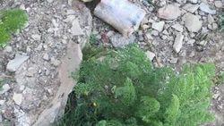 Hakkari'de PKK'ya ait uzaktan kumandalı EYP ele geçirildi