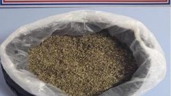 Denizli'de narkotik operasyonunda 9 kişi yakalandı