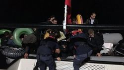 Muğla'da operasyonda 54 kaçak göçmen yakalandı