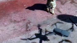 Caddebostan sahilinde sevimli kedinin drone merakı