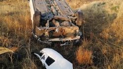 Elazığ'da otomobil köpeğe çarpmamak için takla attı