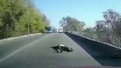 Ukrayna'da alkollü bir hasta ambulanstan düştü