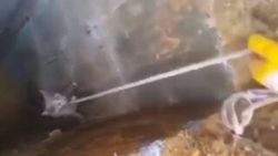 Çukura düşen kediyi kurtarma operasyonu