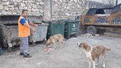 Adanalı temizlik işçisi çöpten topladığı atıklarla köpekleri besliyor