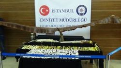 İstanbul'da 1.5 milyonluk 'fil dişi' operasyonu