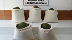 Lice'deki operasyonda 220 kilo uyuşturucu ele geçirildi