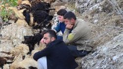 Bitlis'te 315 koyun uçurumdan düşüp telef oldu