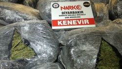 Diyarbakır'da 489 kilogram esrar ele geçirildi