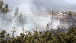 Muğla Seydikemer'de anız yangını