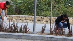 Nevşehir'de ödüllü izmarit toplama kampanyası