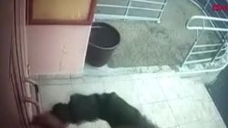 Rusya'da kapı kollarına asit döken saldırgan