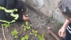 Hatay iftaiyesi boruya sıkışan yavru köpekleri kurtardı