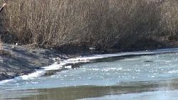 Ardahan'da Kura Nehri buz tuttu