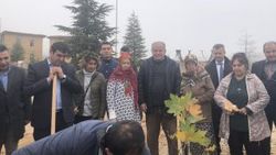 Sanatçıların köyünde Yıldız Kenter için fidan dikildi