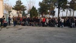 Edirne'de 117 kaçak göçmen yakalandı
