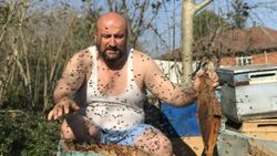 Ordu'da arılar beni tanır dedi peteklerin arasına daldı