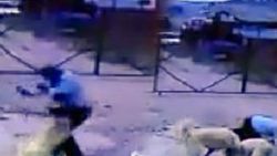 Kendisine saldıran köpeğe taş attı, başka köpek kurtardı