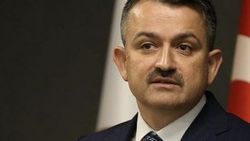 Bakan Pakdemirli: İstanbul'un 3-4 aylık suyu var