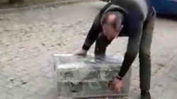 Tekirdağ'da bir su deposunda 37 saka kuşu ele geçirildi