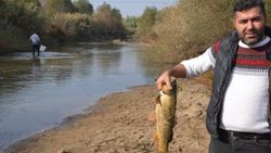 Gediz Nehri'nin suyu azaldı, vatandaş elle balık yakalıyor