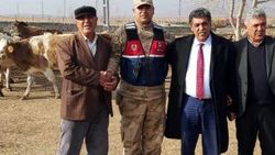 Ardahan'da çalınan büyükbaş hayvanlar Kars'ta bulundu