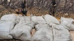 Bingöl'de PKK'ya ait mühimmat ele geçirildi