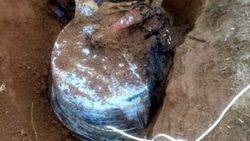 Bitlis'te PKK'ya ait 15 kilo patlayıcı ele geçirildi