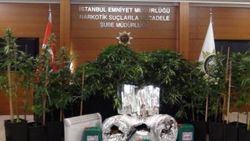 Evi seraya çeviren uyuşturucu tacirleri yakalandı